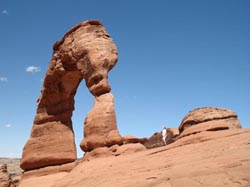 Old dead bush in the harsh desert