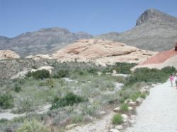 Walking back from the quarry area 1