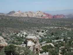 Looking back to Red Rocks